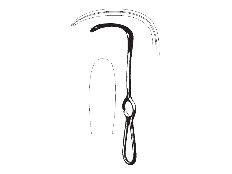 Retractor, LANGENBECK, 21cm, 60x20mm 