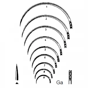 Ac suturi Ga, duzina  Fig. 2