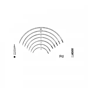 Ac suturi, rotund, Pd, Dn  Fig.3