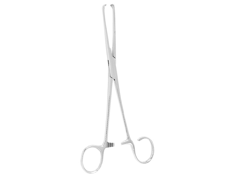 Pensa de prehensiune amigdale WHITE  L23cm - 