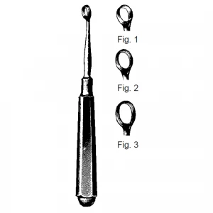 Chiureta lupus PIFFARD, L14.5cm  Fig 1