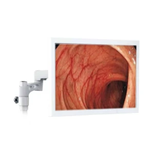 Monitor color, 22 inch 