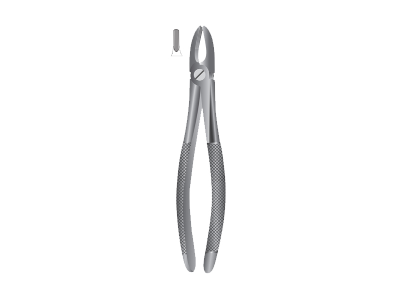  Forceps pentru extractie incisivi, mandibula superioara, Fig.2 