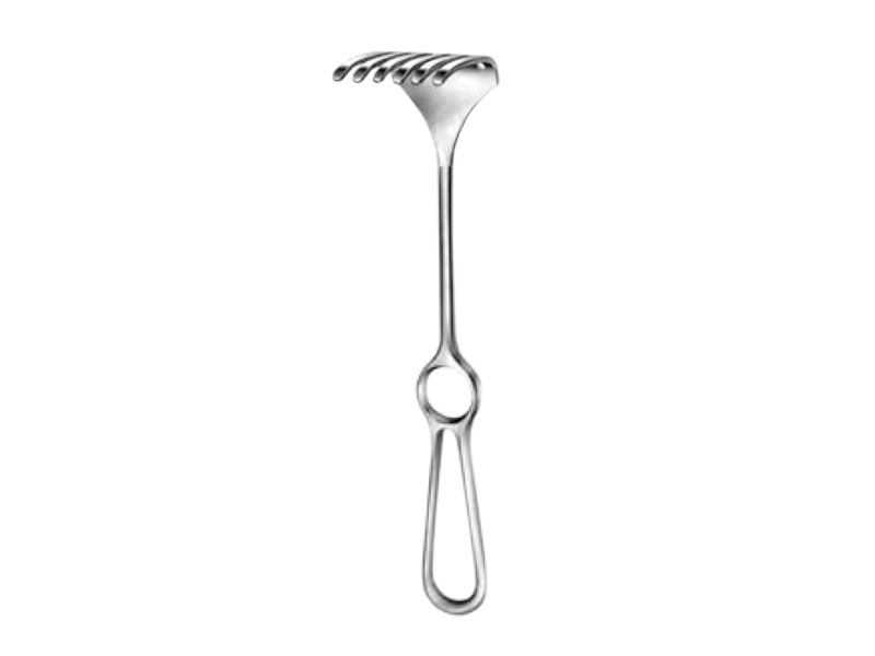 Retractor ISRAEL, varf bont  50x60mm, L25cm